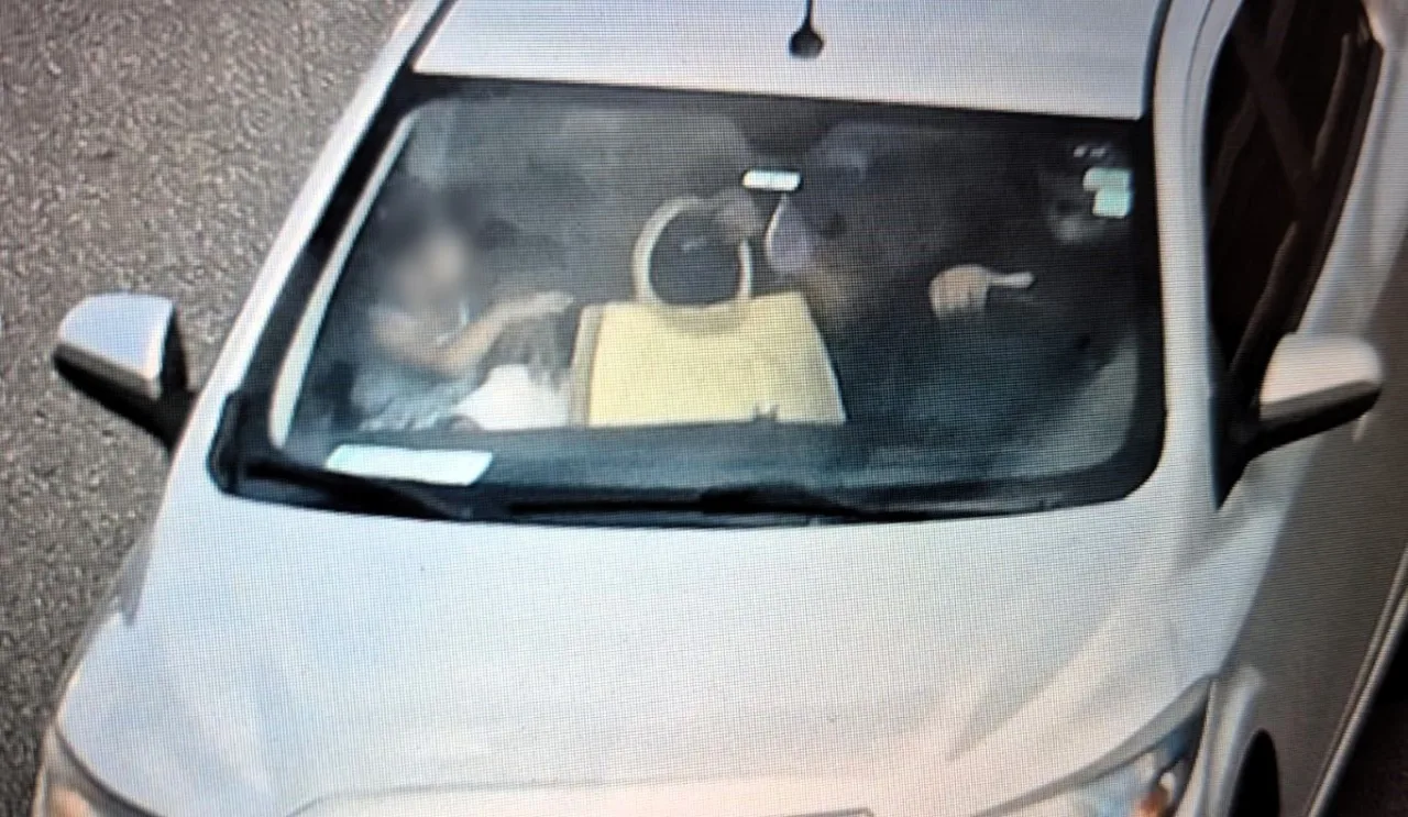 PRF flagra criança na 'direção' de caminhão e motorista no celular em SC