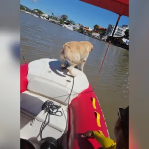 Corpo de homem desaparecido é encontrado em rio de SC