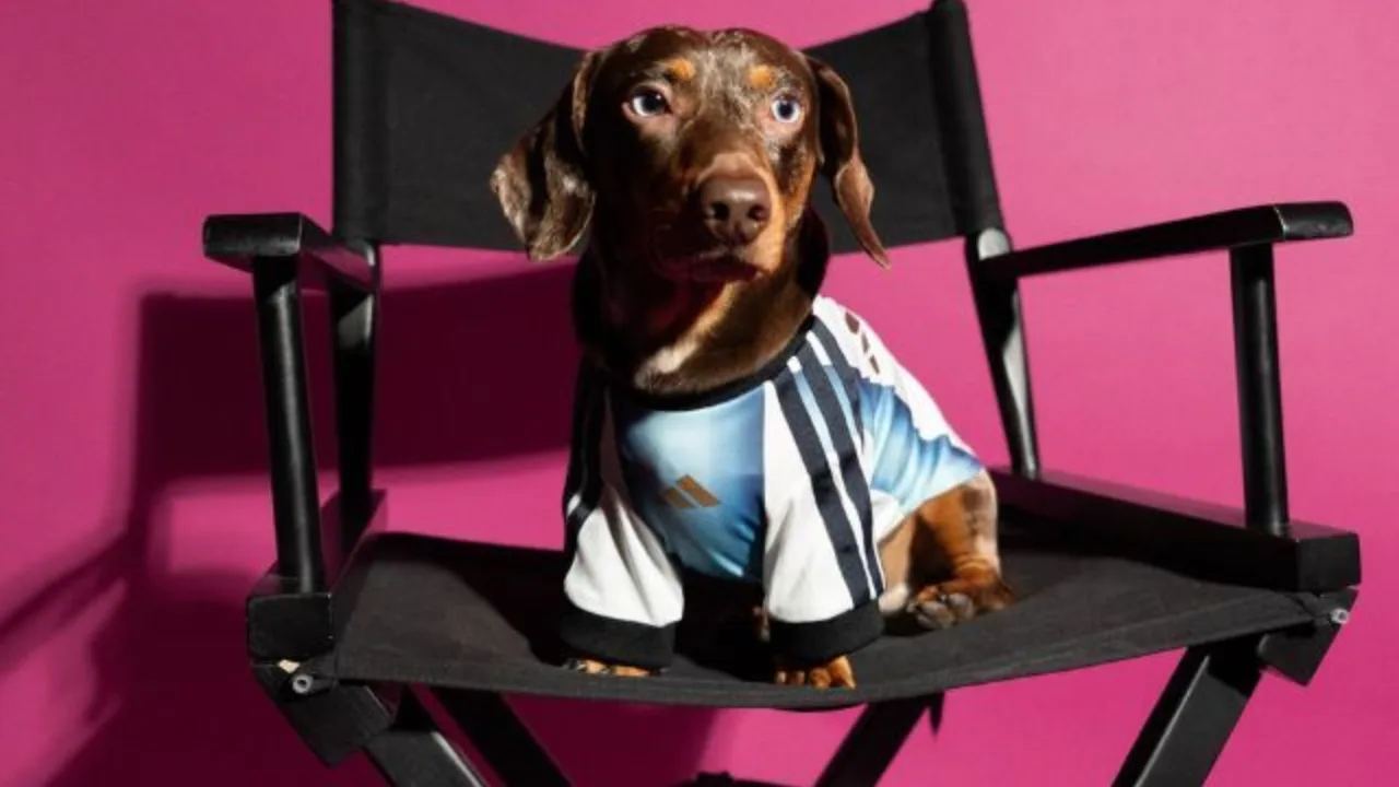 Adidas lança camisas da Copa do Mundo de 2026 para cães.