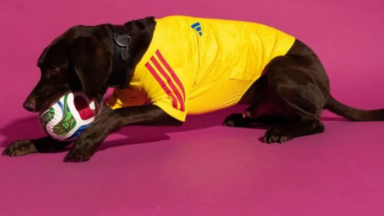 Adidas lança camisas da Copa do Mundo de 2026 para cães. | Foto: Divulgação/Adidas/Reprodução SBT News