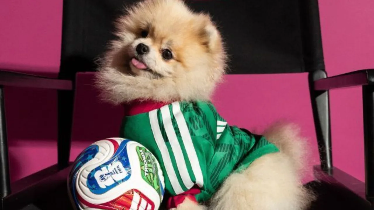 Adidas lança camisas da Copa do Mundo de 2026 para cães