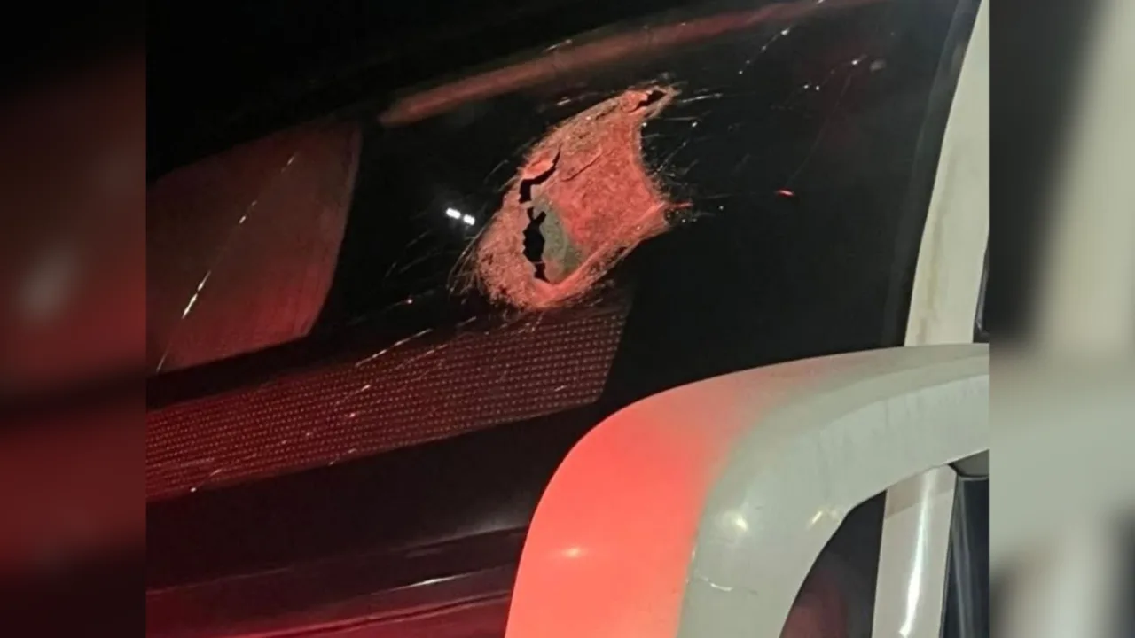 Passageiro morre após peça de caminhão atingir ônibus que seguia para SC