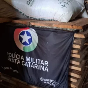 Polícia Ambiental apreende madeira nativa em São José do Cerrito