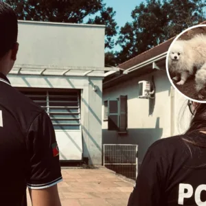 Polícia prende dois por maus-tratos e interdita canil com 200 animais no RS