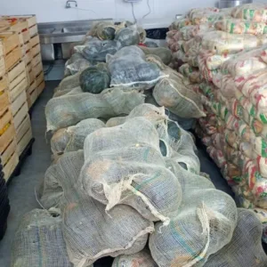 Programa investe R$ 500 mil em alimentos para Lages