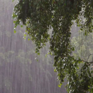 SC tem amanhecer com chuva forte e temporais; veja previsão | Foto: Canva