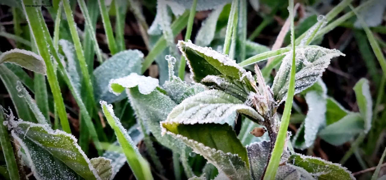 São Joaquim registra geada no último dia de abril