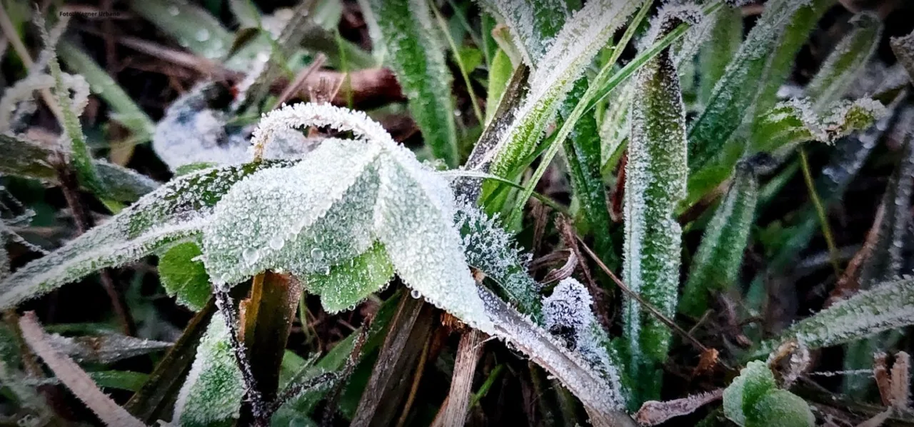 São Joaquim registra geada no último dia de abril