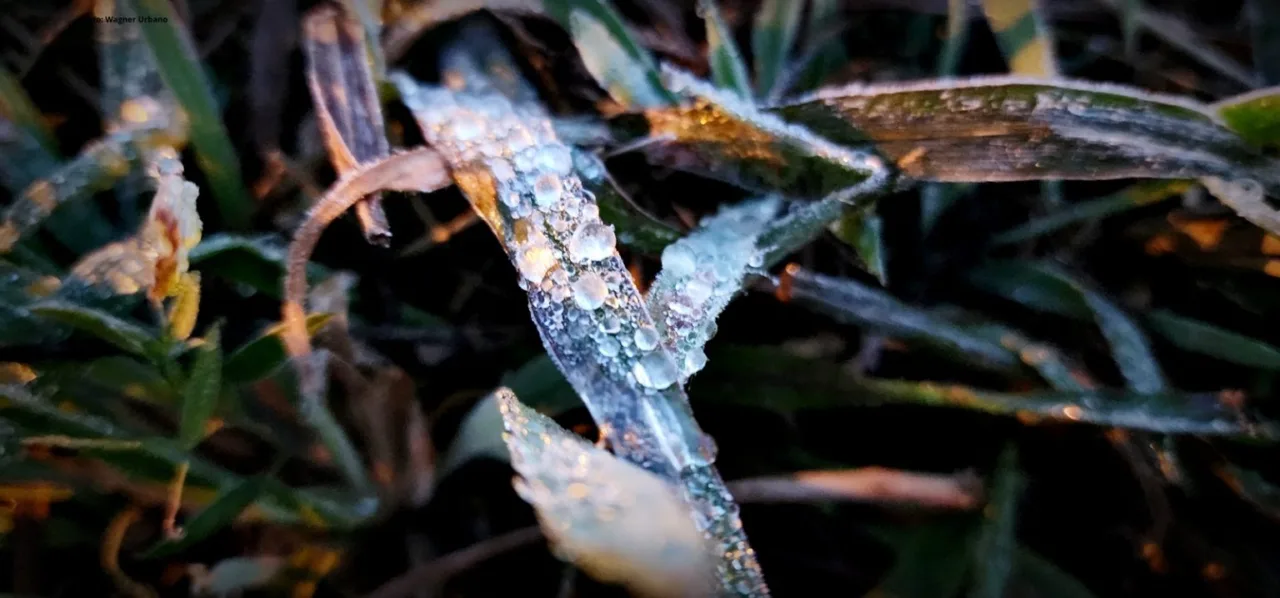 São Joaquim registra geada no último dia de abril