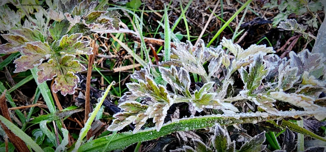 São Joaquim registra geada no último dia de abril