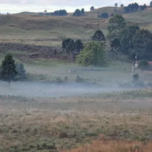 Serra de SC registra 3°C durante a madrugada desta sexta-feira