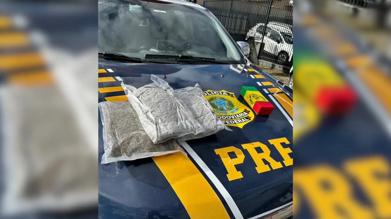 'Supermaconha' é encontrada em compartimento falso de mala em SC