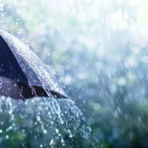 Temporais com vendaval e risco alto para ocorrências marcam SC nesta terça (7) | Foto: Canva | Reprodução