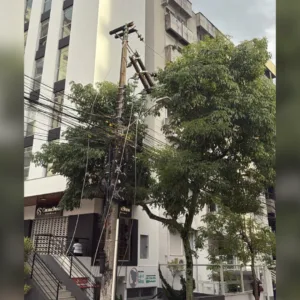 Foto: Celesc/Reprodução