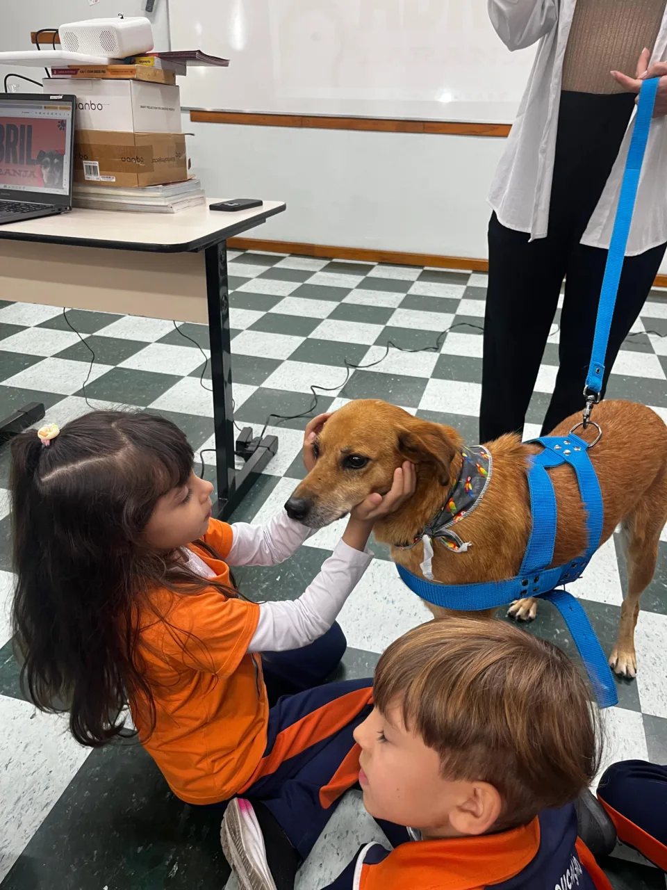 Abril Laranja Ações educativas em Lages focam na causa animal