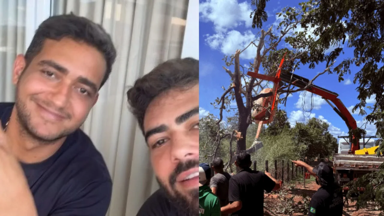 'Apenas dano material', Henrique e Juliano sobre queda de helicóptero