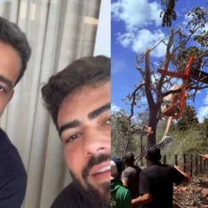 'Apenas dano material', Henrique e Juliano sobre queda de helicóptero