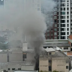Bombeiros salvam pets e resgatam moradores de incêndio em Florianópolis