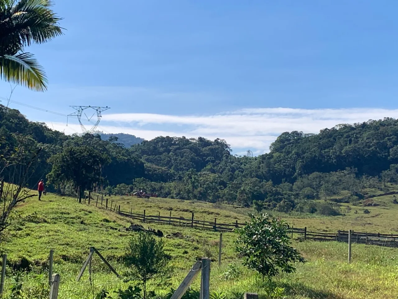 CENIPA vai investigar queda de helicóptero que matou homem em Pomerode