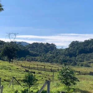 CENIPA vai investigar queda de helicóptero que matou homem em Pomerode | Foto: SCC10