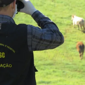 Cidasc promove série de webinars sobre sanidade animal em maio
