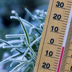 Defesa Civil emite aviso de frio intenso e risco de geada em SC