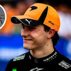 Espécie de vespa recém-descoberta recebe o nome de piloto de F1