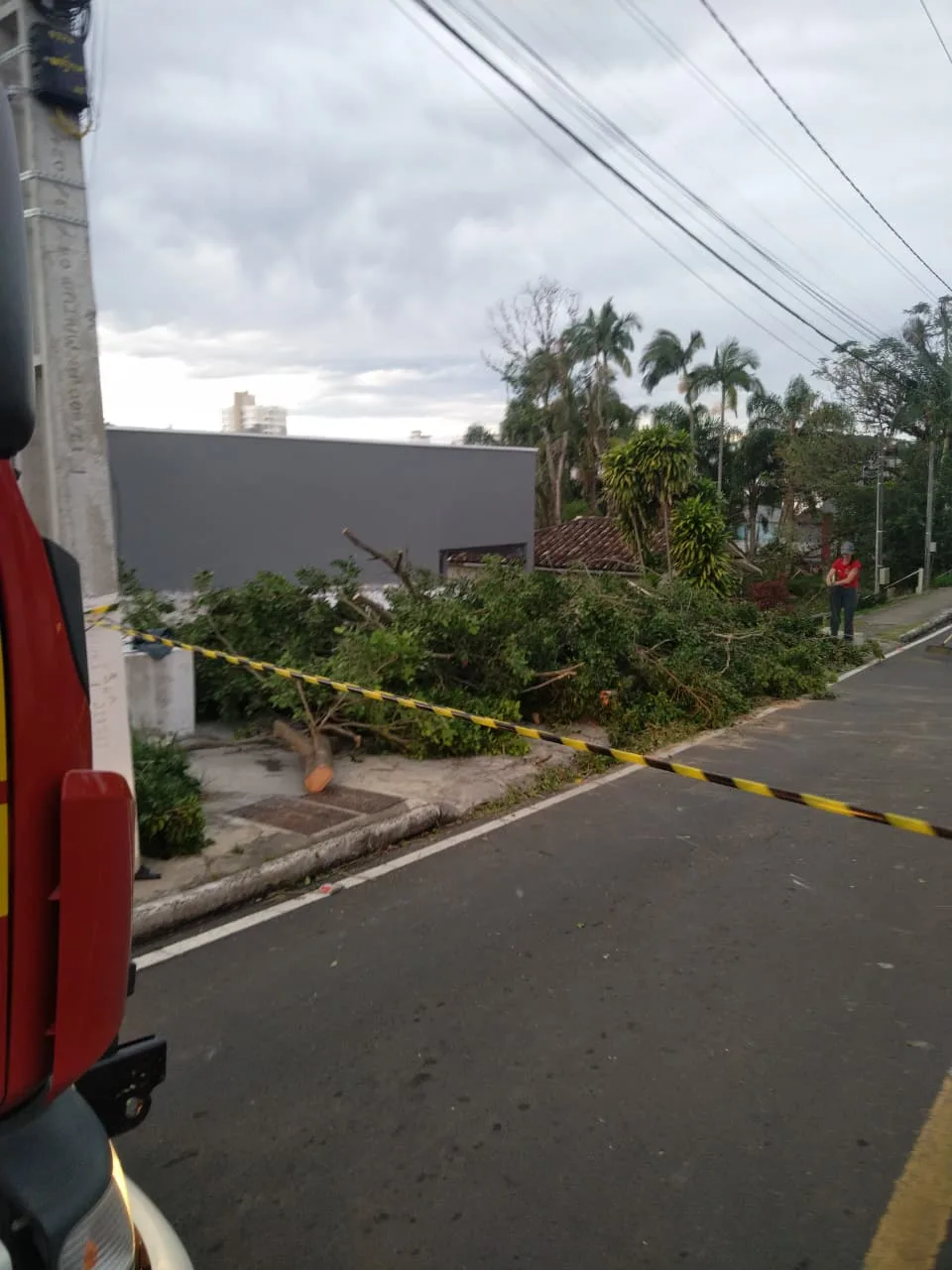 Fortes ventos provocam quedas de árvores e mobilizam bombeiros em Criciúma (3)