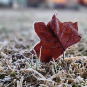 Frio aumenta e SC pode ter geada e temperaturas negativas nesta quinta-feira (21)