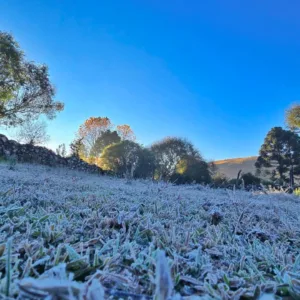 Frio de -4,9°C cobre Caminhos da Neve de geada na Serra | Foto; Mycchel Legnaghi / Prefeitura de São Joaquim