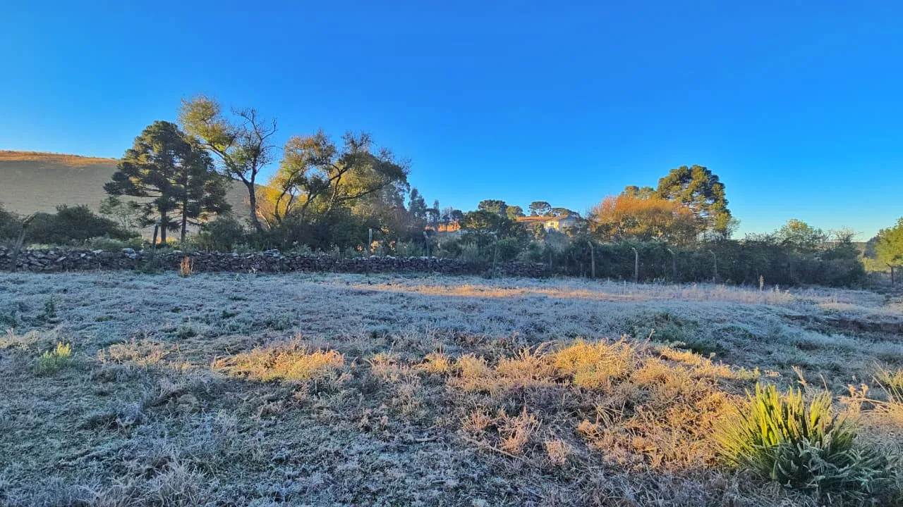 Frio de -4,9°C cobre Caminhos da Neve de geada na Serra
