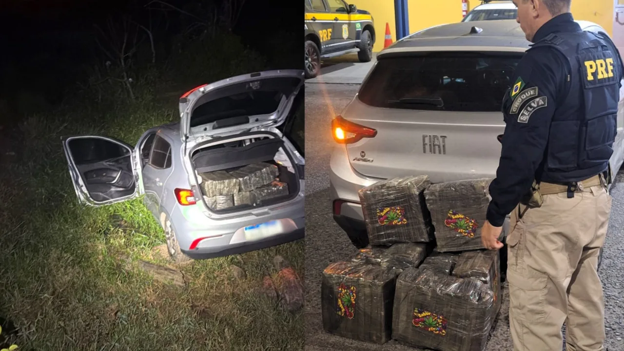 Fuga na BR-101 termina com apreensão de quase 120 kg de maconha em SC