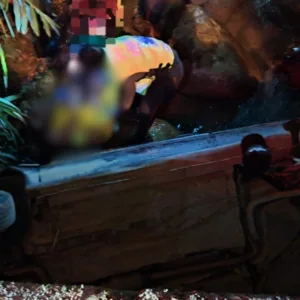 Homem é socorrido em estado grave após carro cair em rio em SC - Imagem: reprodução/ CBMSC