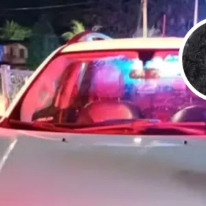 Jovem cai de caminhonete em movimento e morre atropelada por ônibus
