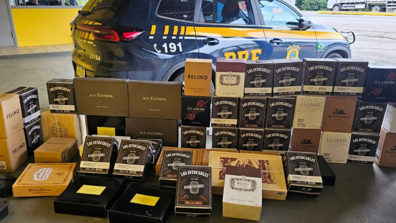 Motorista é flagrado transportando quase 300 garrafas de vinho argentino em SC