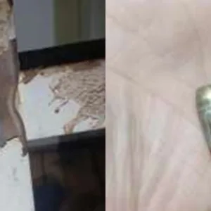 Mulher é baleada enquanto dormia em SC