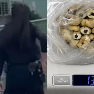 Mulher é presa ao tentar entrar na Papuda com drogas escondidas em castanhas