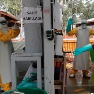 Novo surto de ebola pode afetar o Brasil Veja análise de especialistas