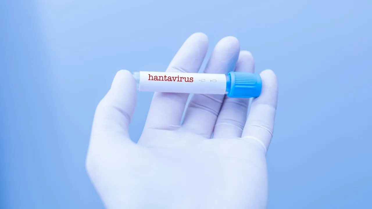 O que se sabe sobre o possível surto de hantavírus em navio com três mortes