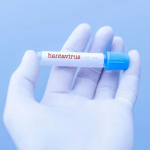 O que se sabe sobre o possível surto de hantavírus em navio com três mortes | Foto: Canva | Reprodução