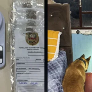Operação policial combate tráfico de drogas em Curitibanos