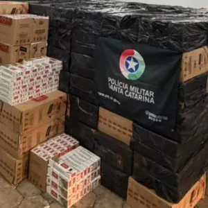PM apreende 270 mil maços de cigarro em SC | Foto: Divulgação