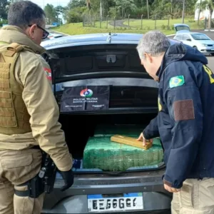 PRF prende grupo com 360 quilos de maconha na BR-282 em SC