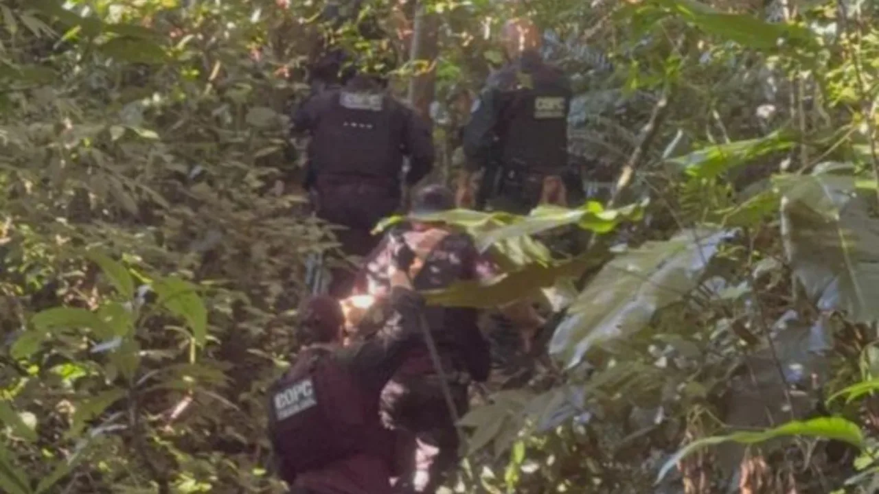 Polícia Civil encontra restos mortais em área de mata em SC