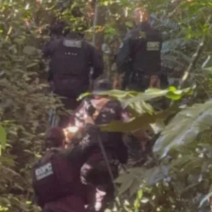 Polícia Civil encontra restos mortais em área de mata em SC | Foto: PCSC/Divulgação