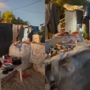 Polícia encontra comércio irregular em área de preservação ambiental no Norte da Ilha