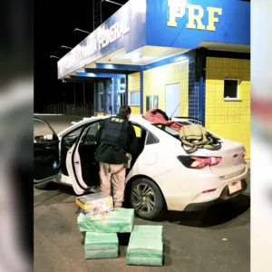 Quase 430 kg de maconha são apreendidos no Oeste de SC