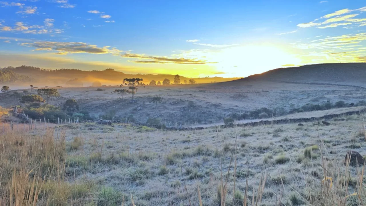 Serra Catarinense amanhece congelada e encanta moradores (2)