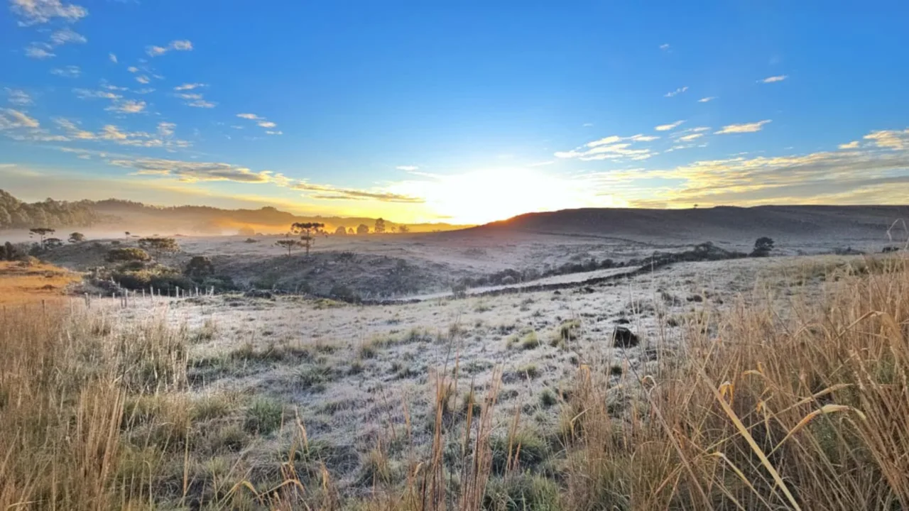 Serra Catarinense amanhece congelada e encanta moradores (2)