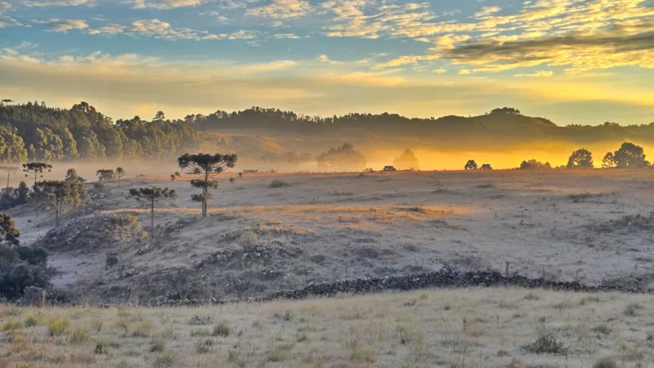 Serra Catarinense amanhece congelada e encanta moradores (6)